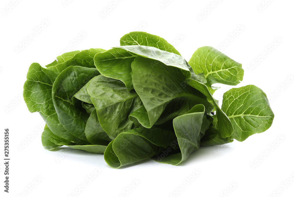 Fresh green bok choy cabbage isolated on white Fresh green bok choy cabbage isolated on white