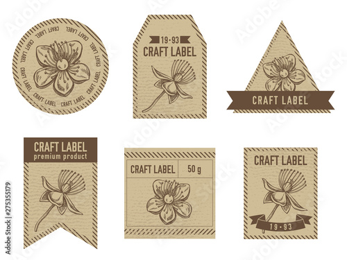 Obraz na płótnie Craft labels with hypericum