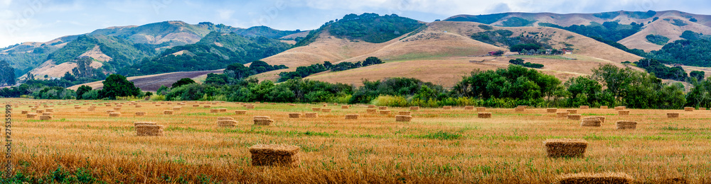 Panorama of Hay bales in Field with Mountains, Hills