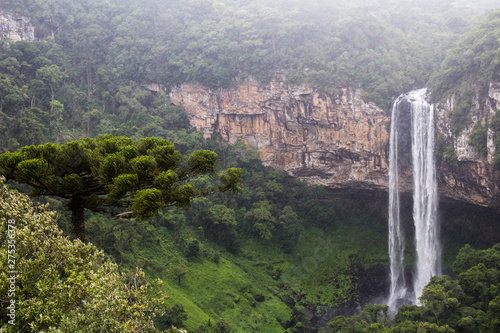 a brasilian waterfall in the florest