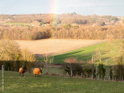 Tapety artystyczne paysage de dordogne