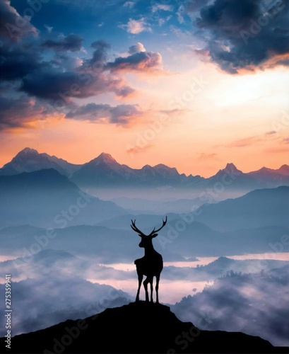 silhouette of deer on top of mountain at sunset © Riza