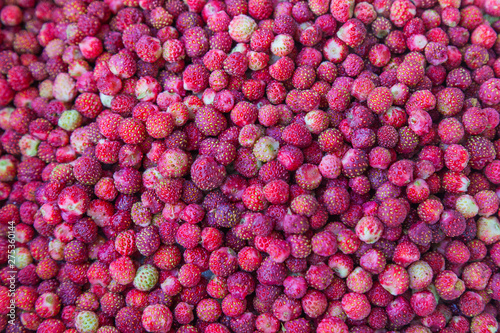 Background image: fresh field strawberries