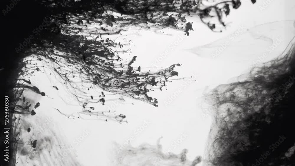 Black ink motion in water. Environmental pollution. Paint swirling mixing and blending Black ink motion in water. Environmental pollution. Paint swirling mixing and blending
