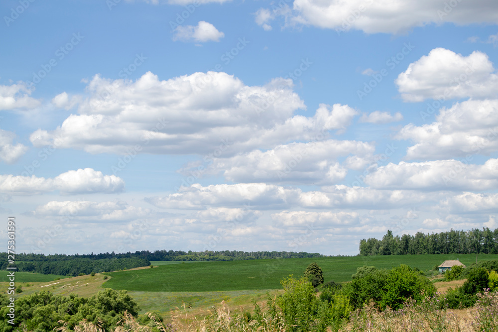 green field and blue sky with light clouds green field and blue sky with light clouds