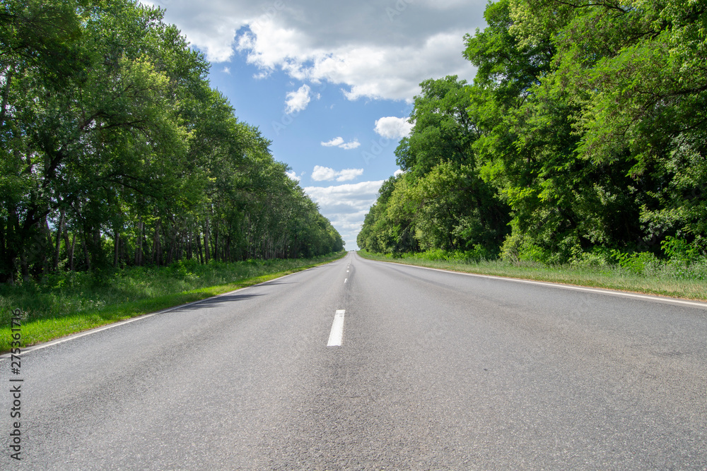 Panorama of the road in the summer evening asphalt road and on the sides of green trees Panorama of the road in the summer evening asphalt road and on the sides of green trees