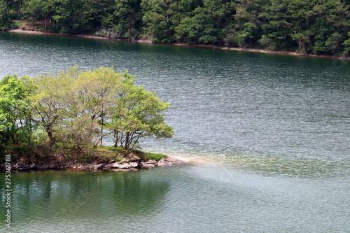 Un morceau d'île sur le lac