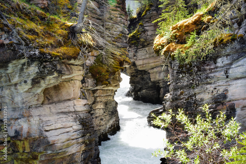 Athabasca Falls in Banff Jasper National Park