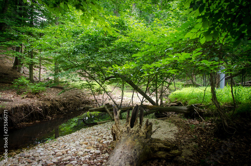 One of the beautiful parks in Virginia America