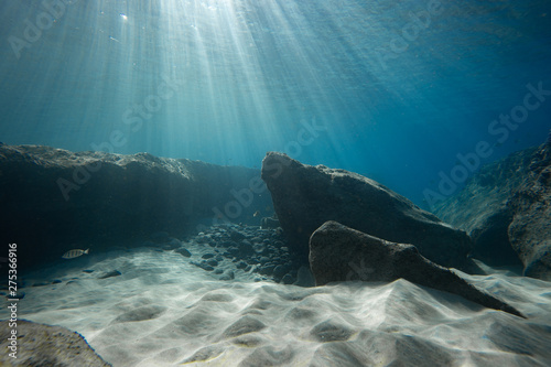 underwater light rays photo
