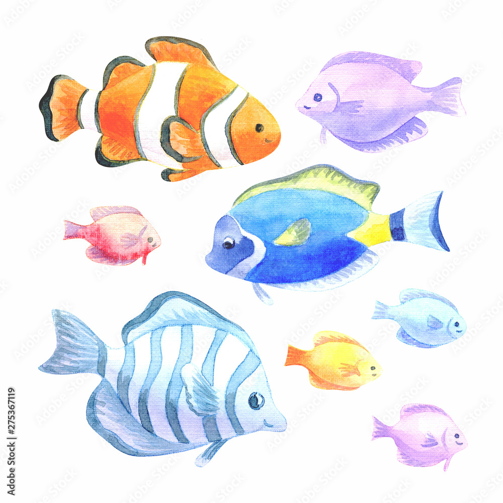 Beautiful exotic fishes set. Colorful hand drawn illustrations isolated on a white background. Watercolor painting.