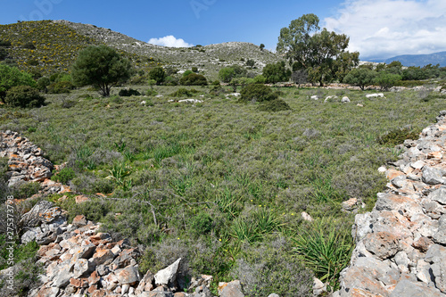 Landschaft auf der griechischen Insel Kastelorizo (Megisti) - Macchie on the Greek island Kastellorizo photo