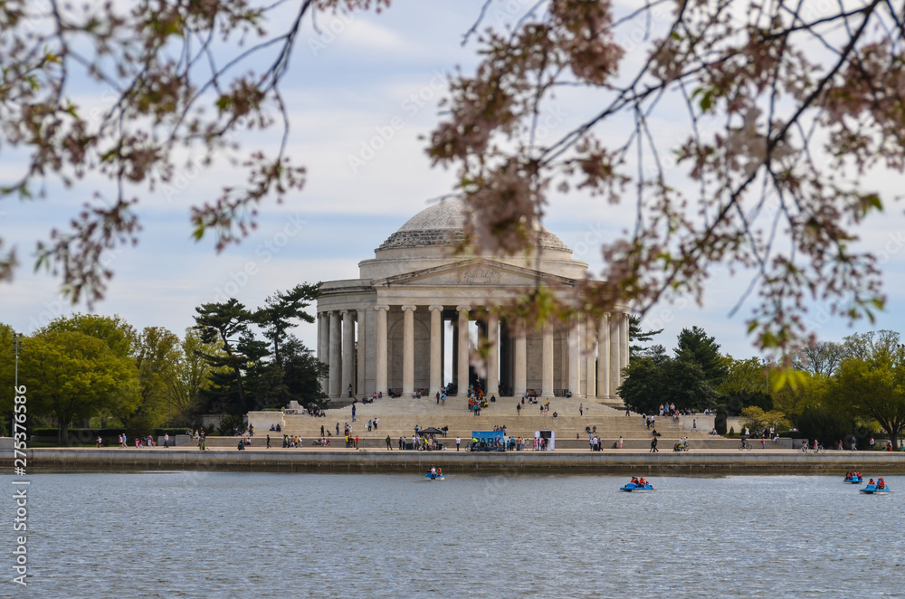Thomas Jefferson Memorial and Cherry Blossom USA