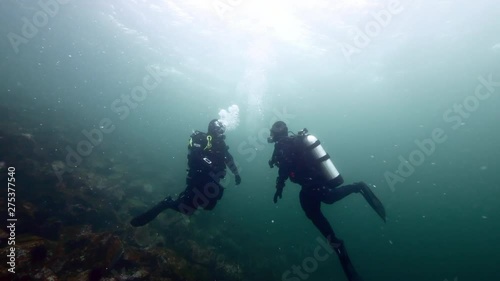 Wallpaper Mural Two Divers Facing Each Other Making Celebratory Gestures, Rocks Below, Vancouver Island, Canada Torontodigital.ca