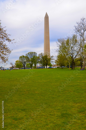 Cherry Blossom and Washington Monument , USA