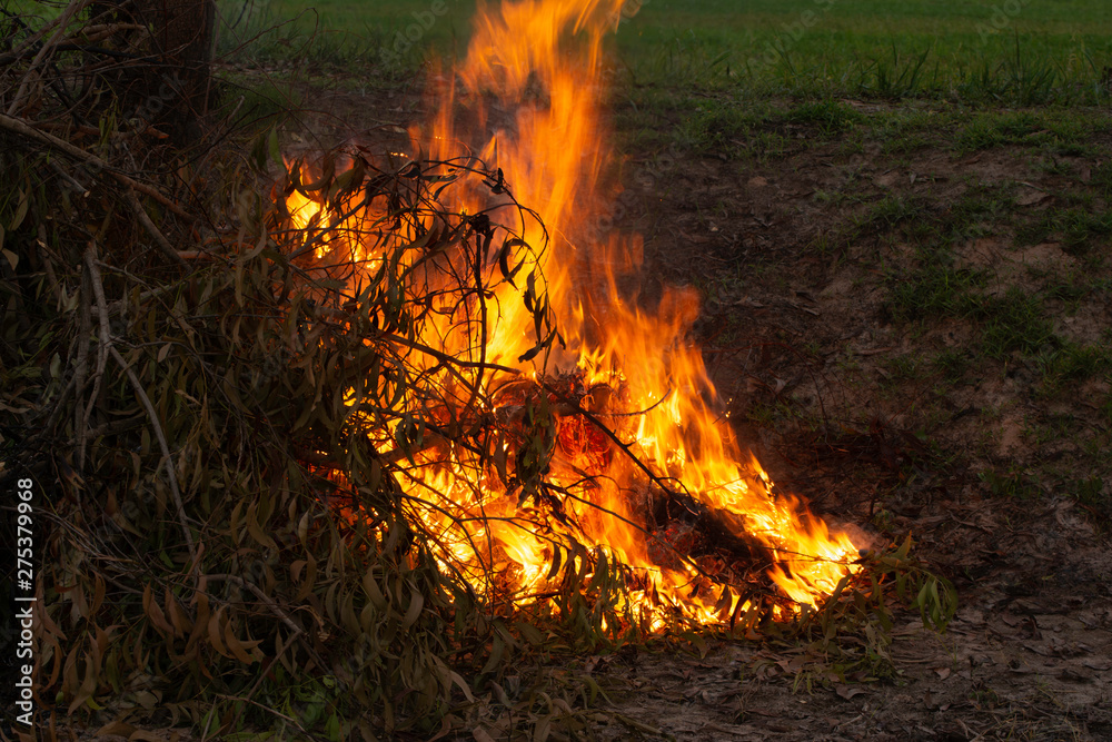 Summer wildfires burning in the Forest at rural area. Fire on the field in spring taken. Summer wildfires burning in the Forest at rural area. Fire on the field in spring taken.