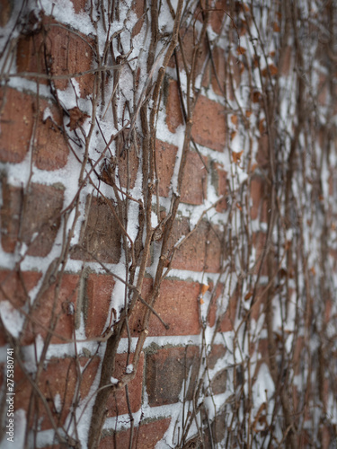 Brick wall photo