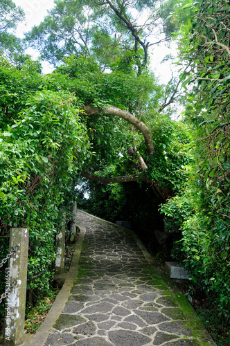 A path in the green