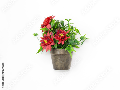 Bouquet red flowers in a pot isolated on white background.
