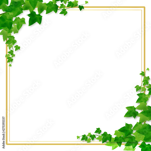 フレーム 若葉 枠 新緑 額縁 コルクボード Kokutibann Stock Illustration Adobe Stock