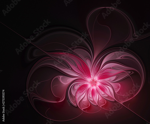 Beautiful fractal dark pink flower on a black background