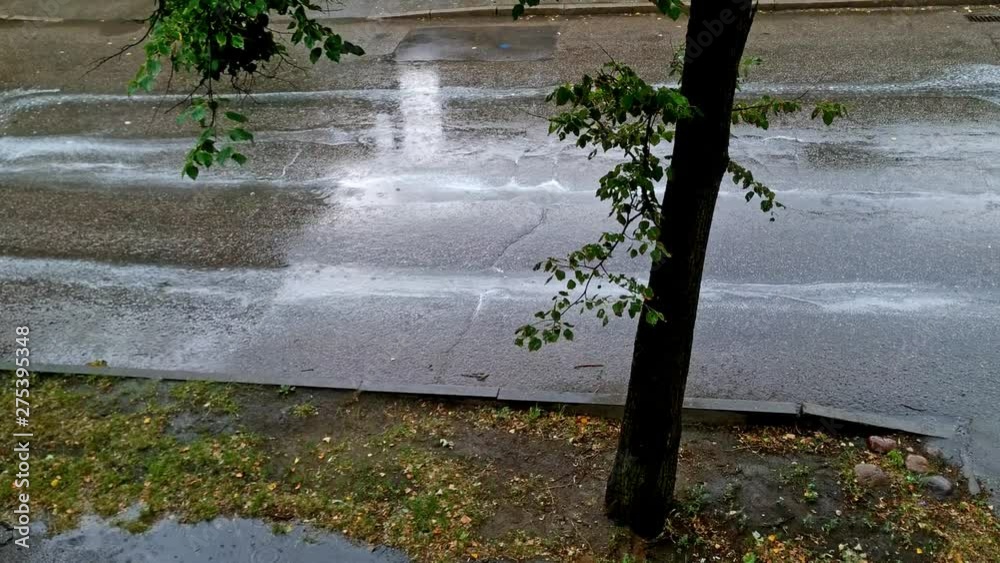 Static view of rain falling on a street with trees dripping water