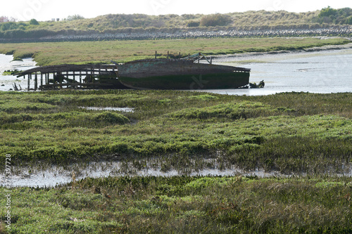 Obraz na plátně Shipwreck ashore