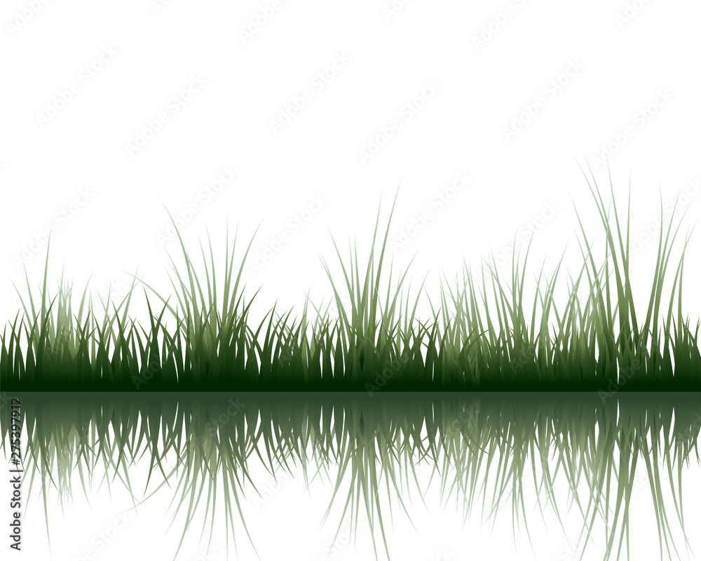 meadow with reflection meadow with reflection