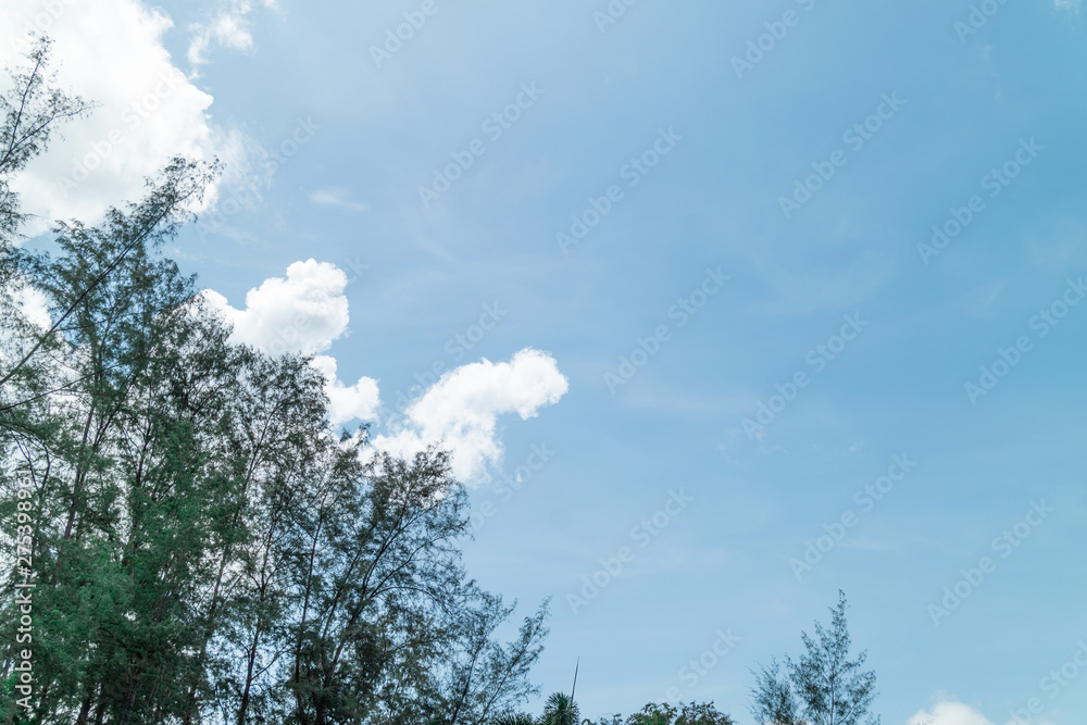 Obraz premium Green foliage background cloudy sky