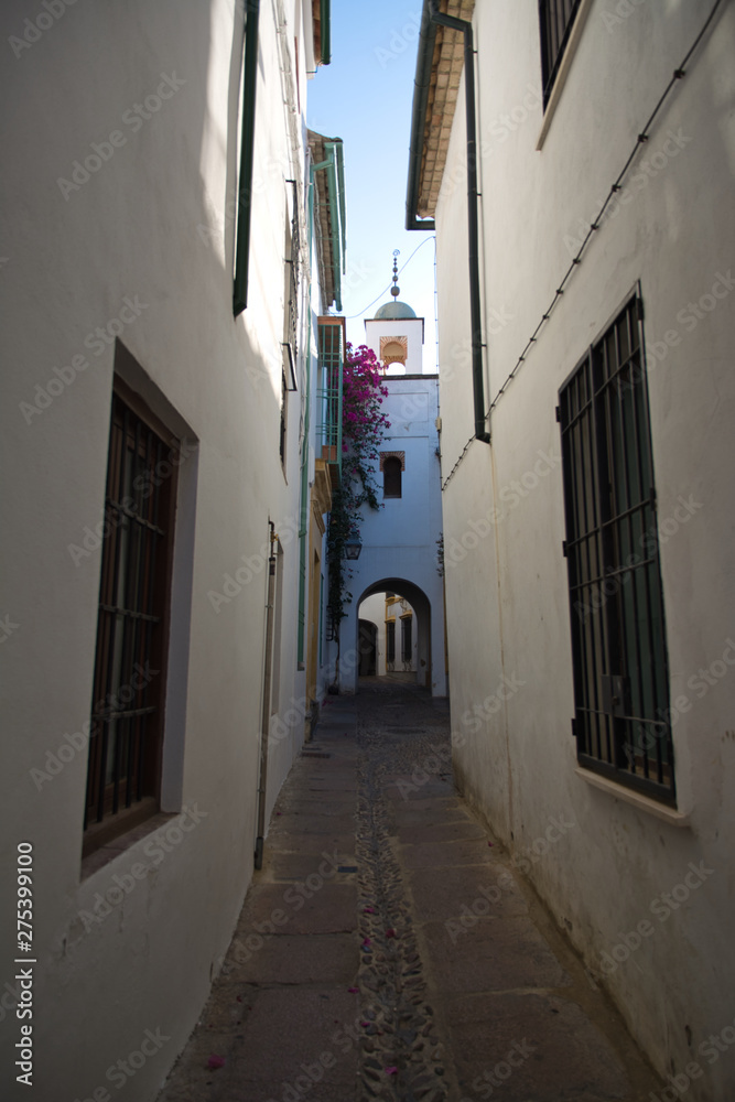 Narrow street in Cordova. Andalusia, Spain.