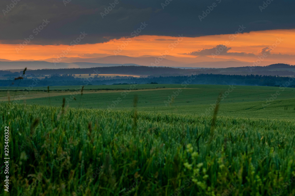green field with red sunset and mountains on horizon