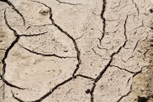 On the scorched earth a lot of cracks from the intense heat.