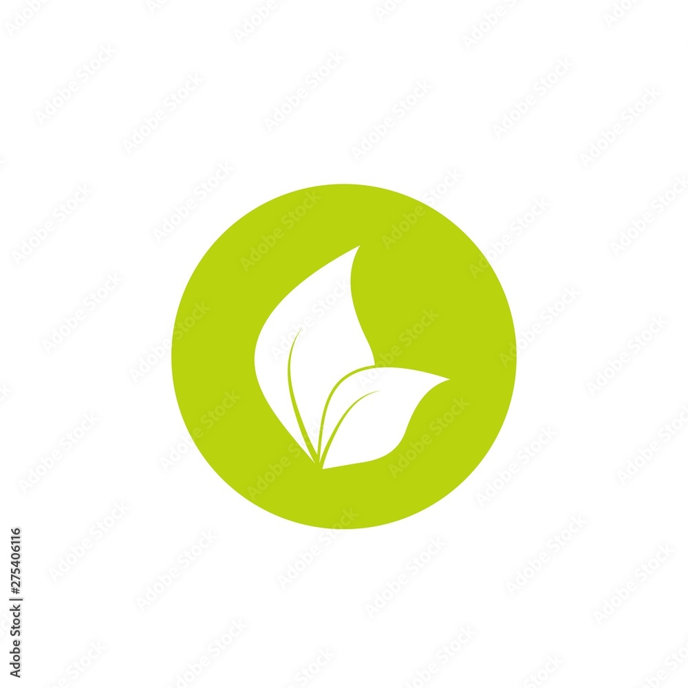 two white leaves in green circle. eco icon. isolated on white. Vector illustration. two white leaves in green circle. eco icon. isolated on white. Vector illustration.