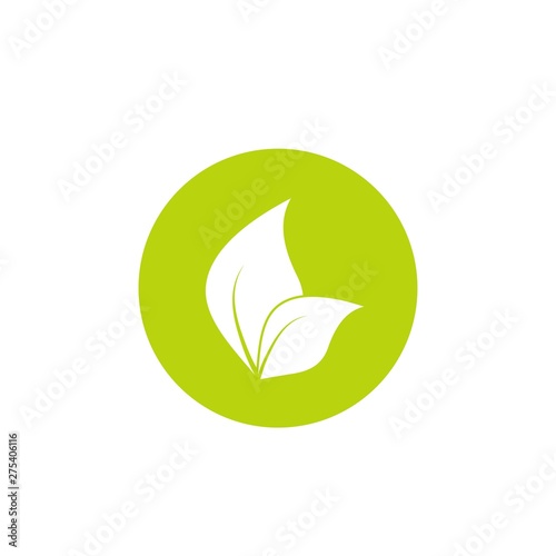 two white leaves in green circle. eco icon. isolated on white. Vector illustration.