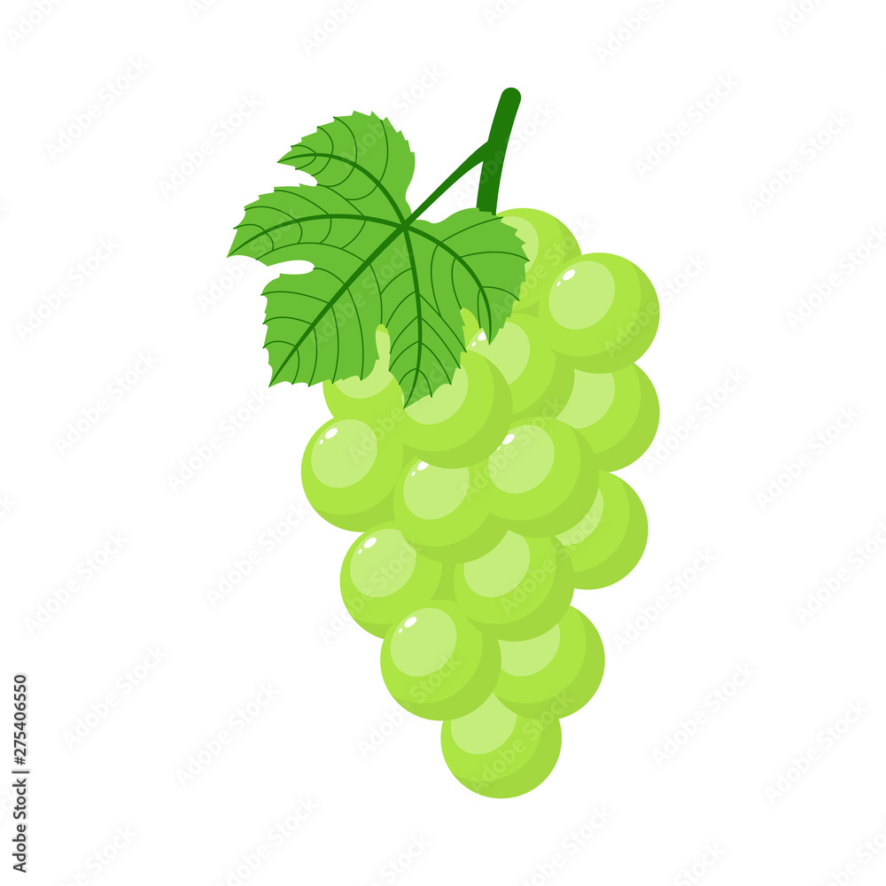 Green grapes isolated on white background. Bunch of green grapes with