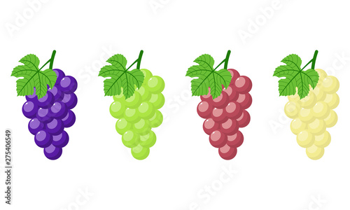 Photographie Set of different grapes isolated on white background