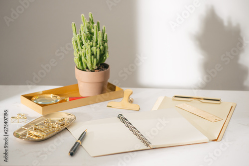 Gold stationaries and cactus. Good plant for improving office air environment photo