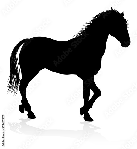 A high quality very detailed horse in silhouette