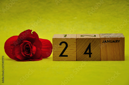 24 January on wooden blocks with a red flower on a yellow background
