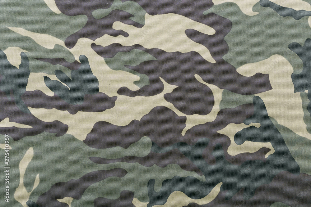 Fototapeta premium is cryptic texture