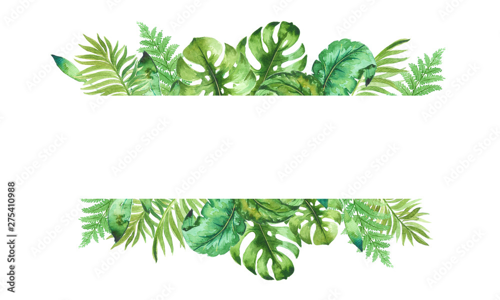 watercolor template of tropical leaves, isolated on white background, hand painted