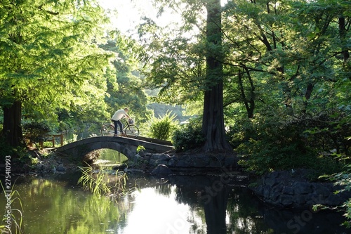 井の頭公園　森と橋（東京 武蔵野市 三鷹市）bridge in the forest