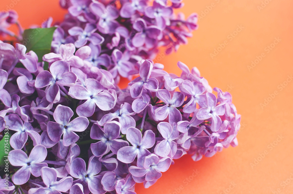 A branch of lilac on a orange light background.