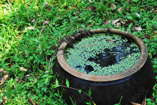 An old dirty water tank on grass