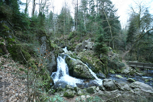 Vosges 