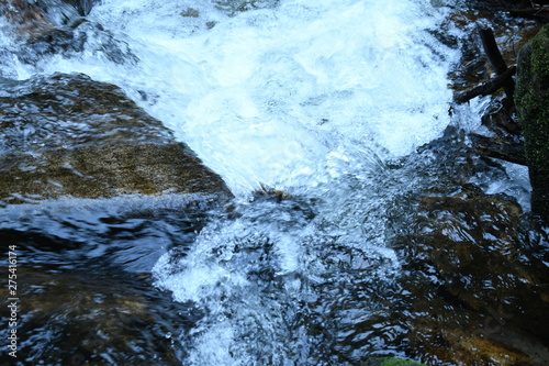Vosges 
