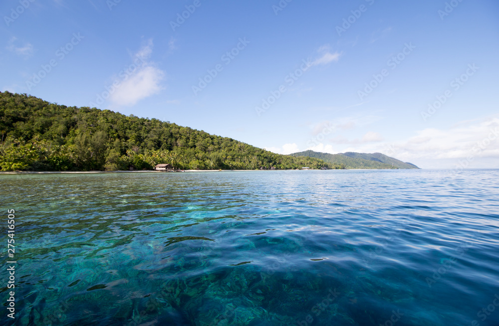 Fototapeta premium transparent water and amazing reef in raja ampat archipelago