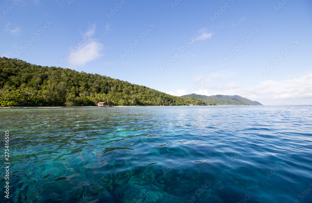 transparent water and amazing reef in raja ampat archipelago