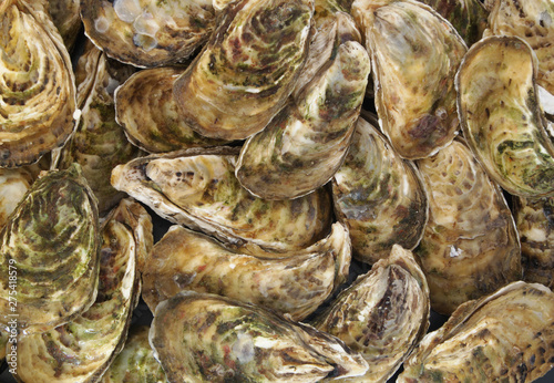Raw oysters texture
