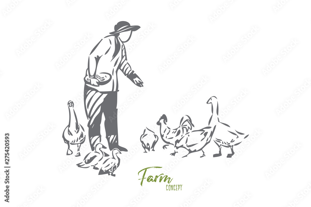 Obraz premium Poultry farm concept sketch. Isolated vector illustration